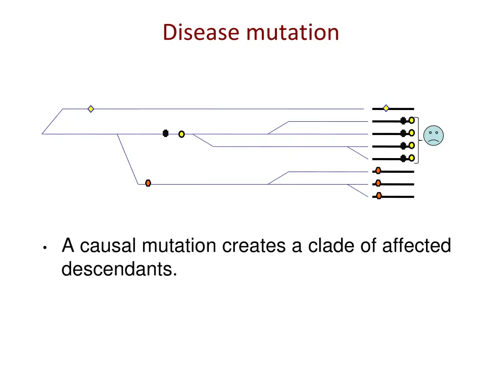 disease mutation 1