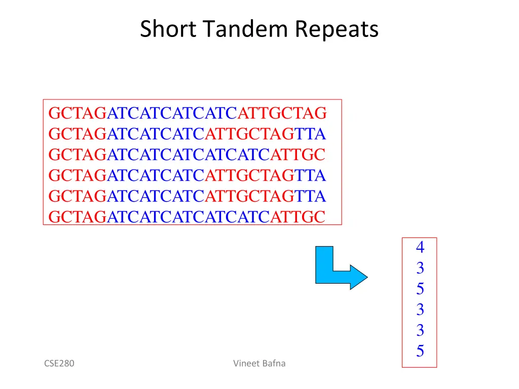 short tandem repeats