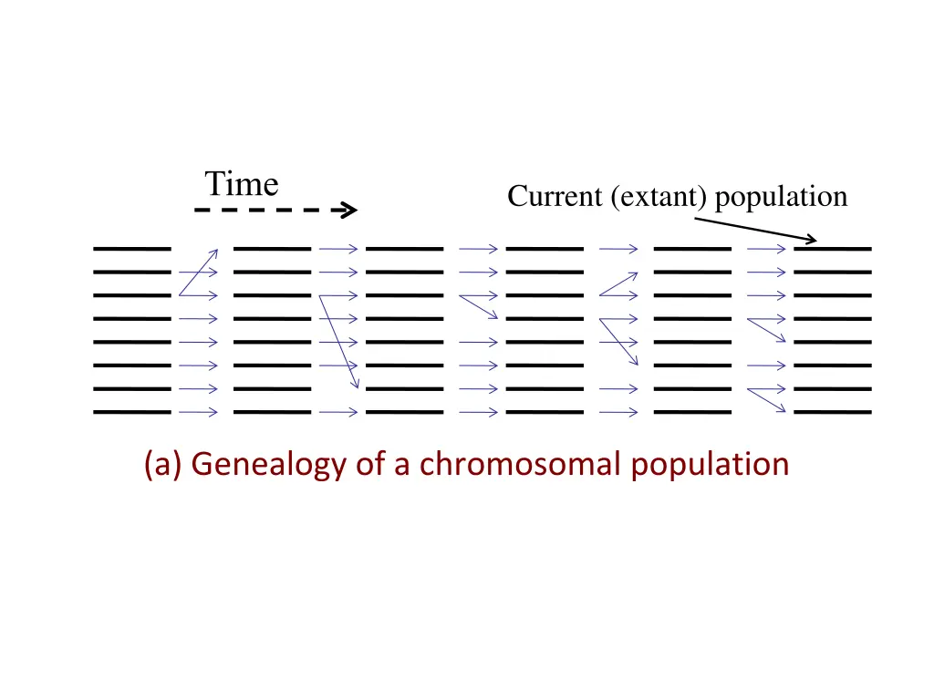 slide33