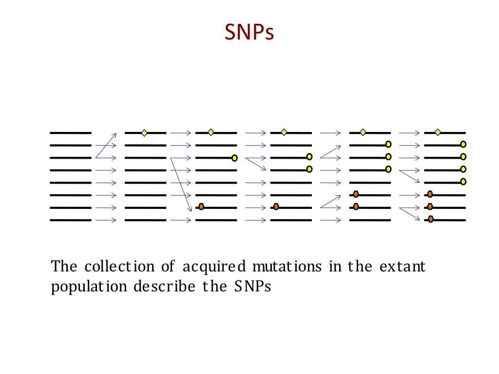 slide35