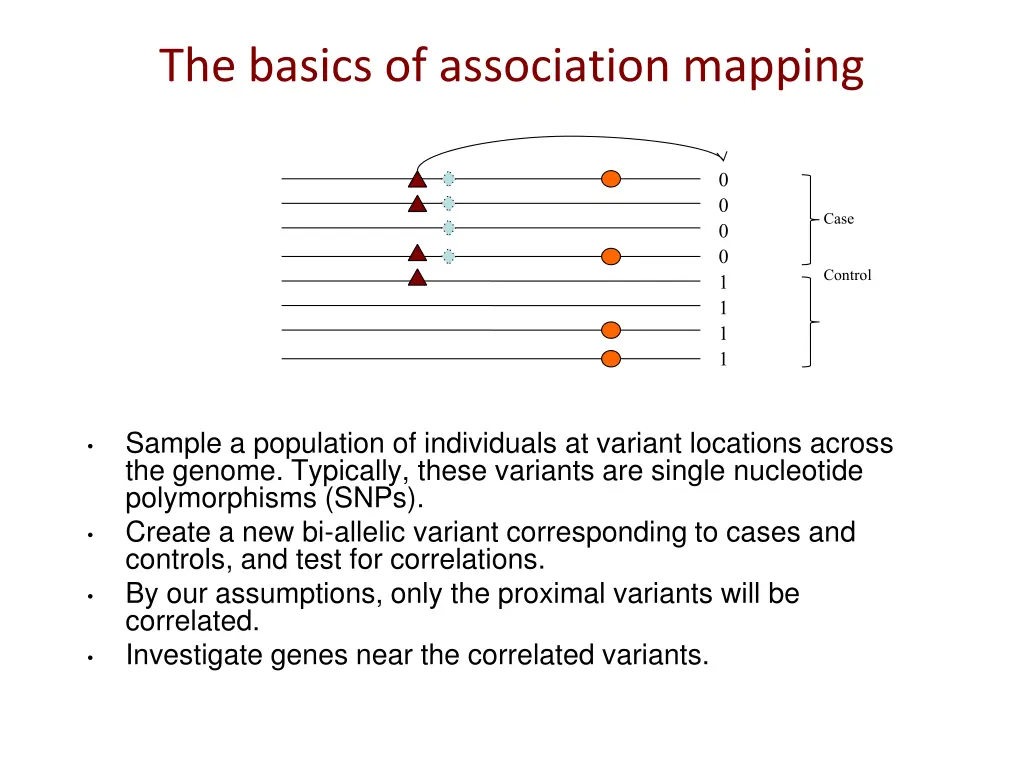the basics of association mapping