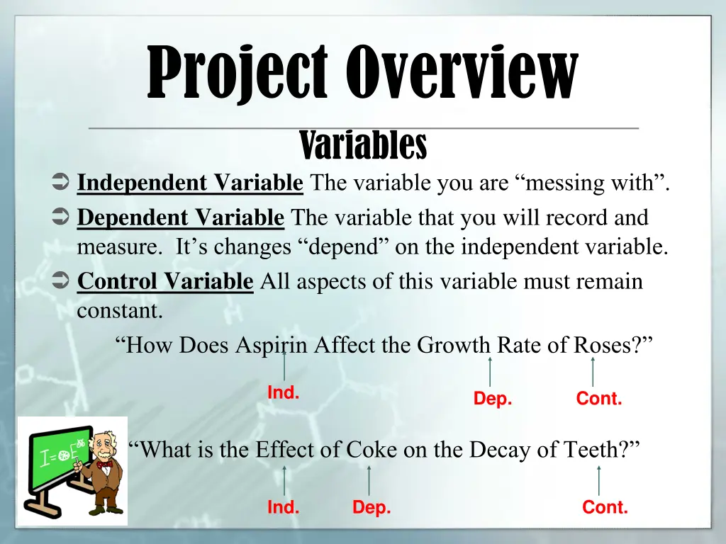 project overview variables