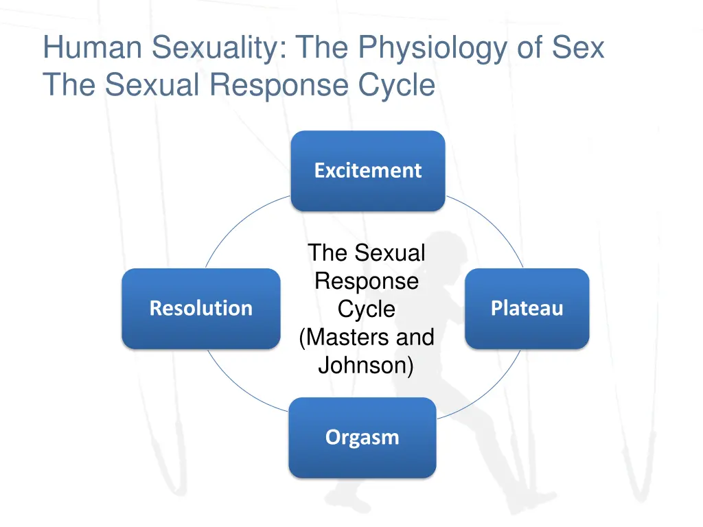 human sexuality the physiology of sex the sexual 1