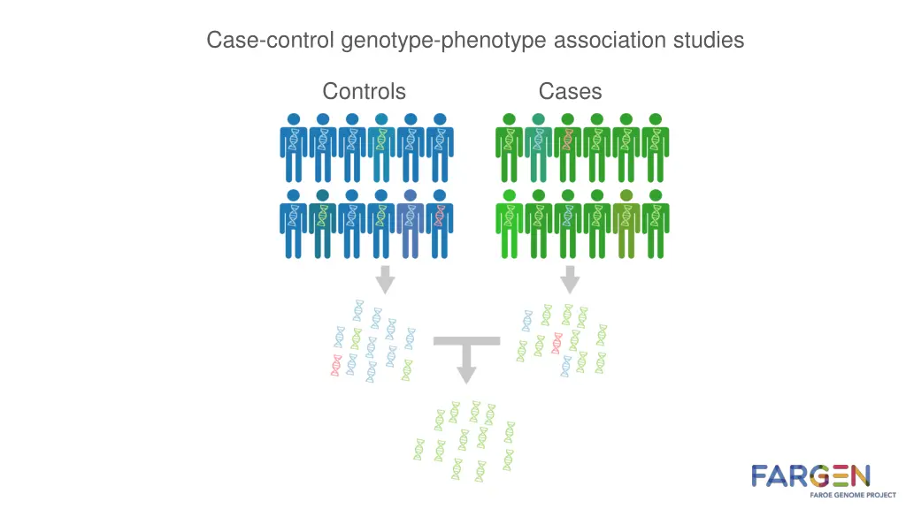 case control genotype phenotype association