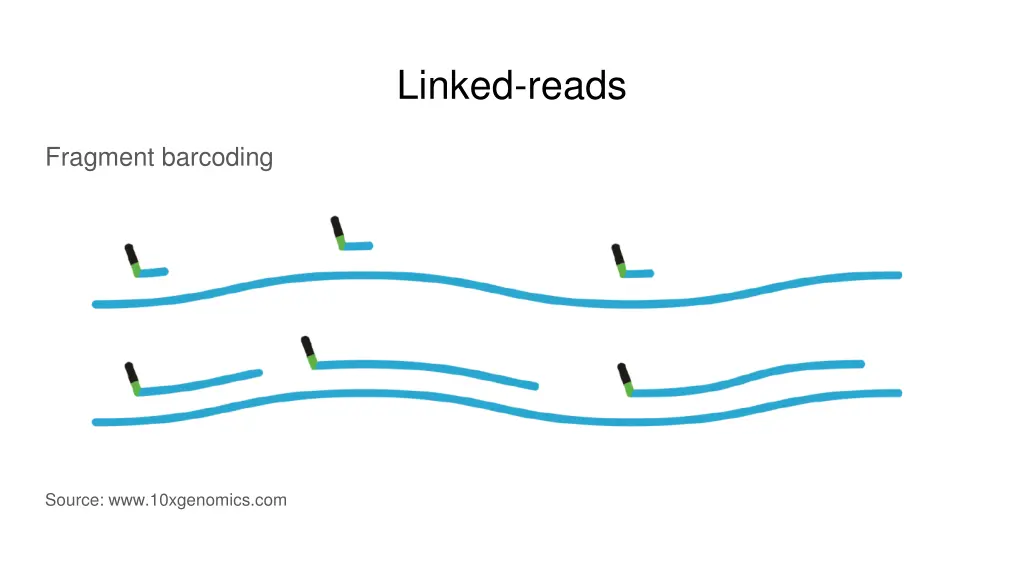 linked reads