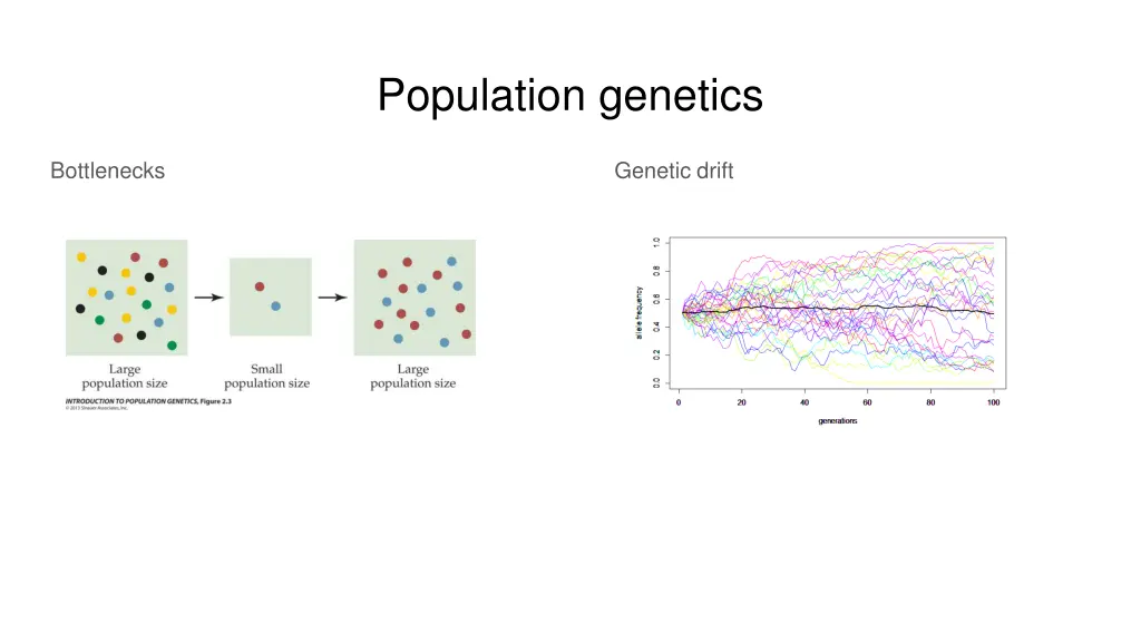 population genetics