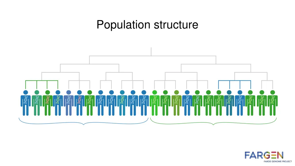 population structure 1