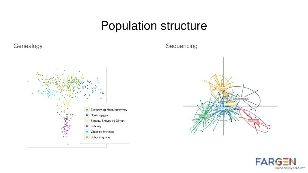 population structure