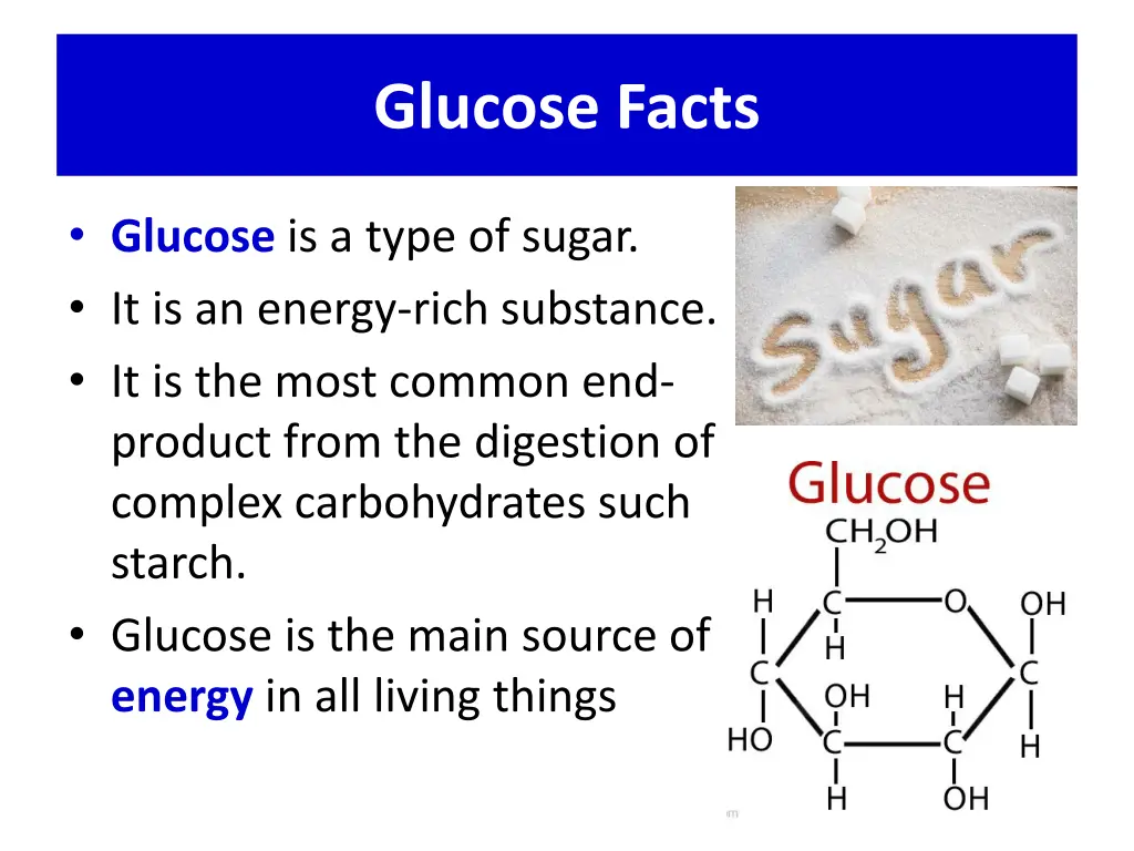 glucose facts