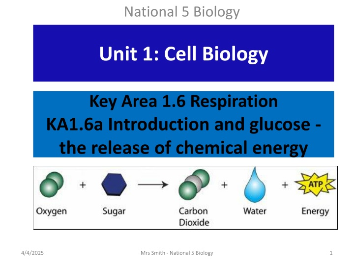 national 5 biology