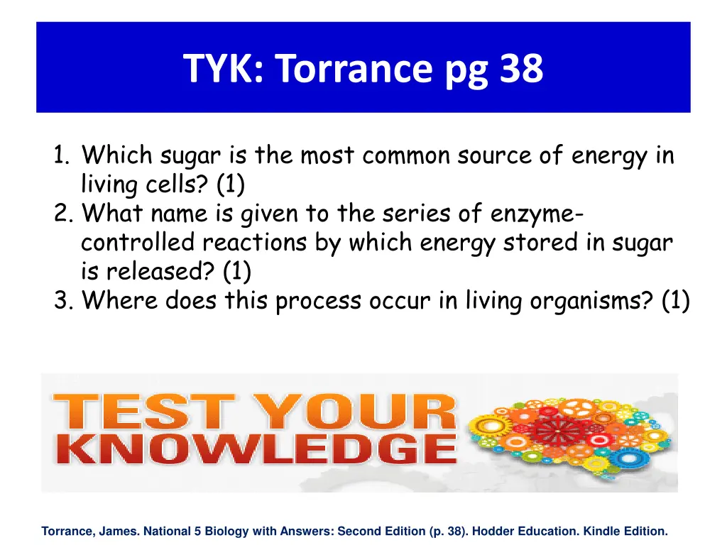 tyk torrance pg 38