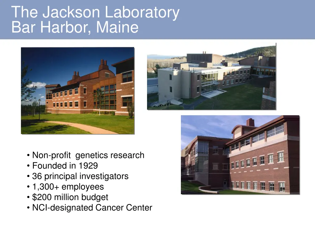 the jackson laboratory bar harbor maine
