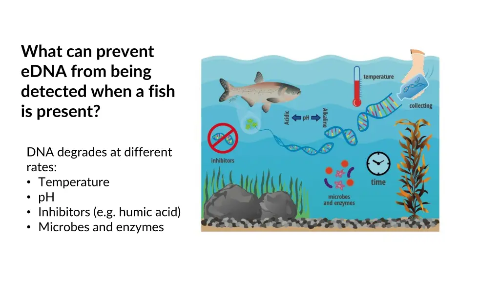 what can prevent edna from being detected when