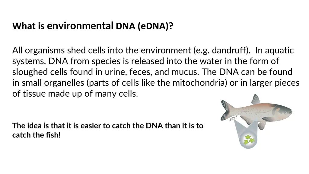 what is environmental dna edna