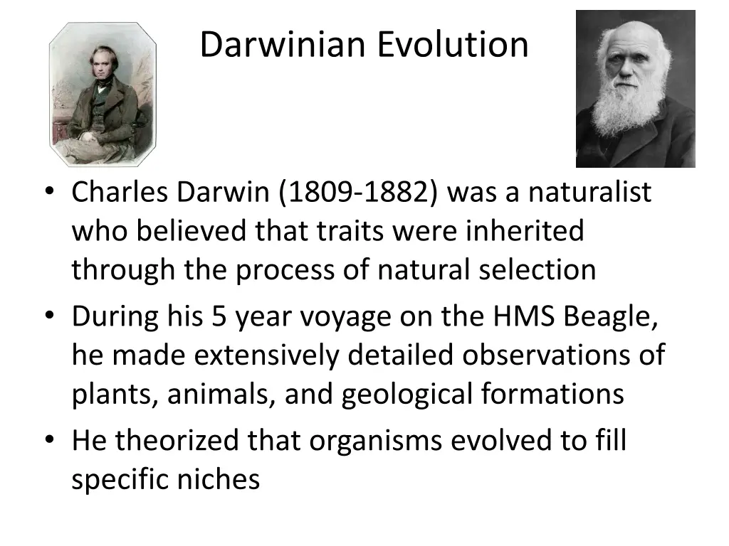darwinian evolution