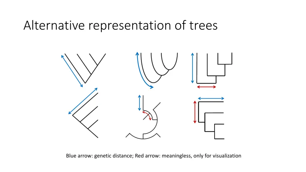 alternative representation of trees