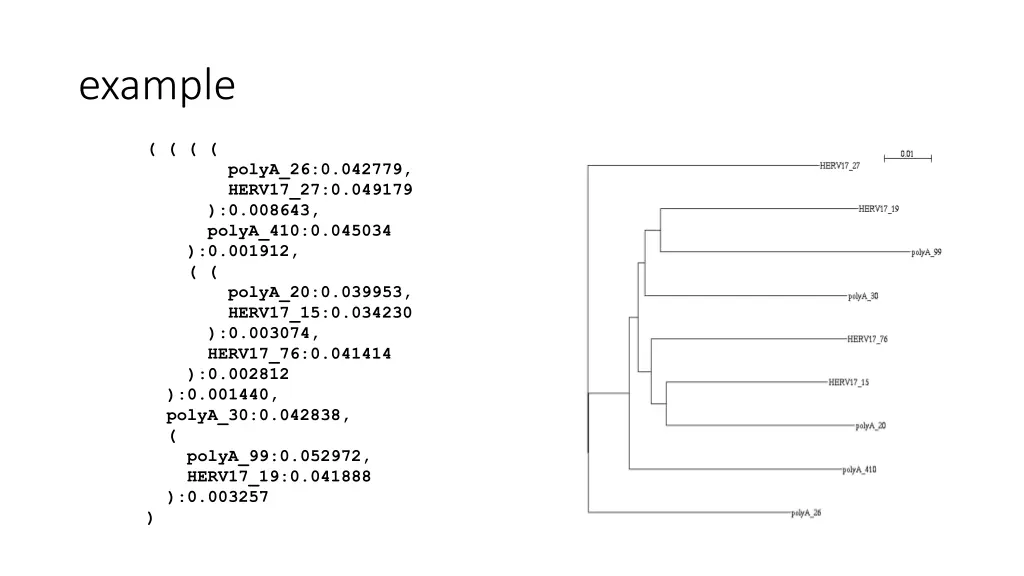 example