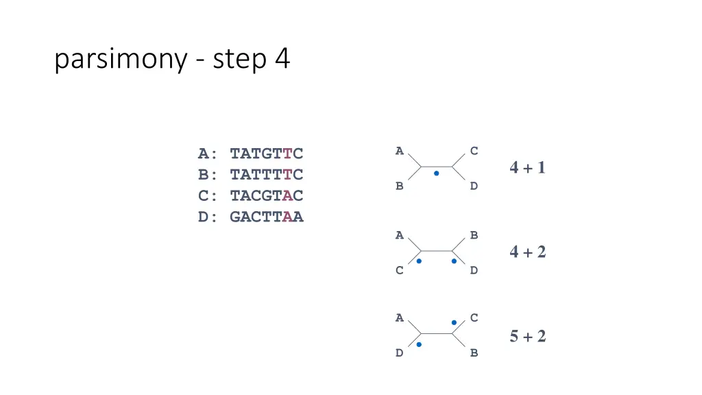 parsimony step 4