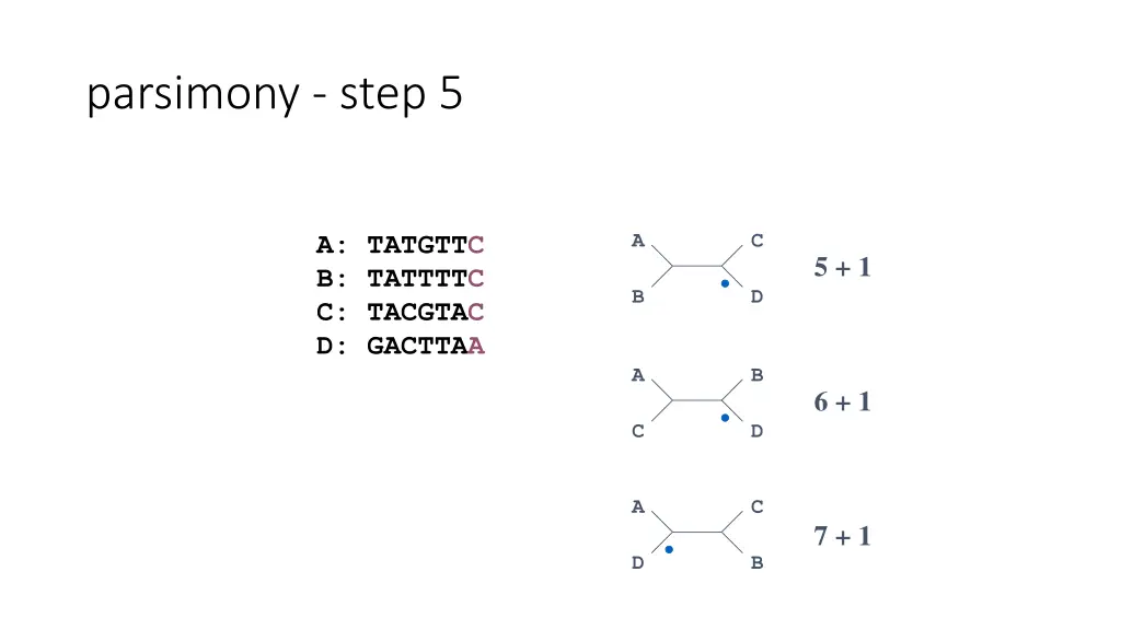 parsimony step 5