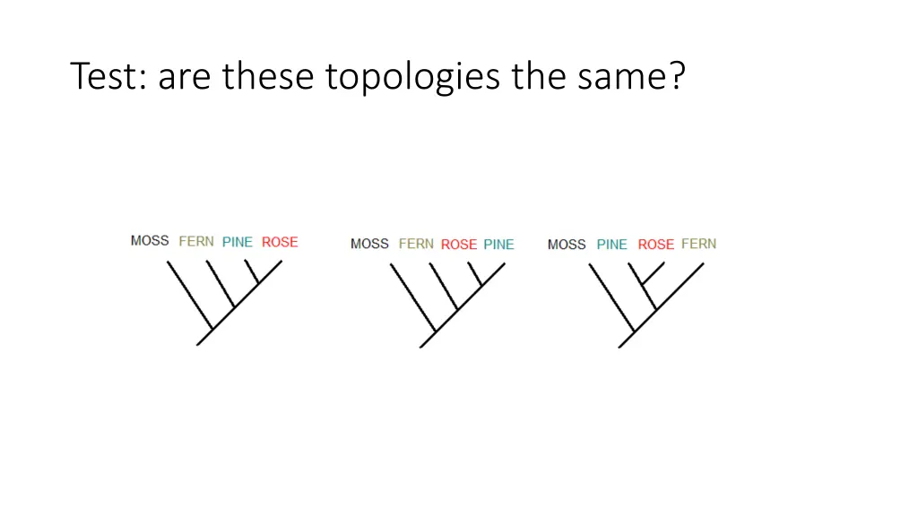 test are these topologies the same