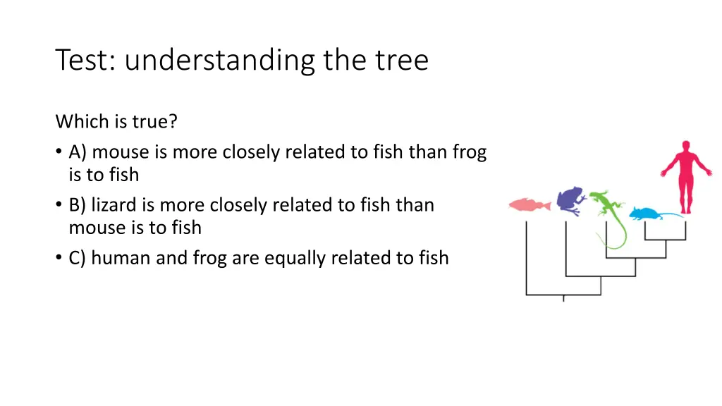 test understanding the tree