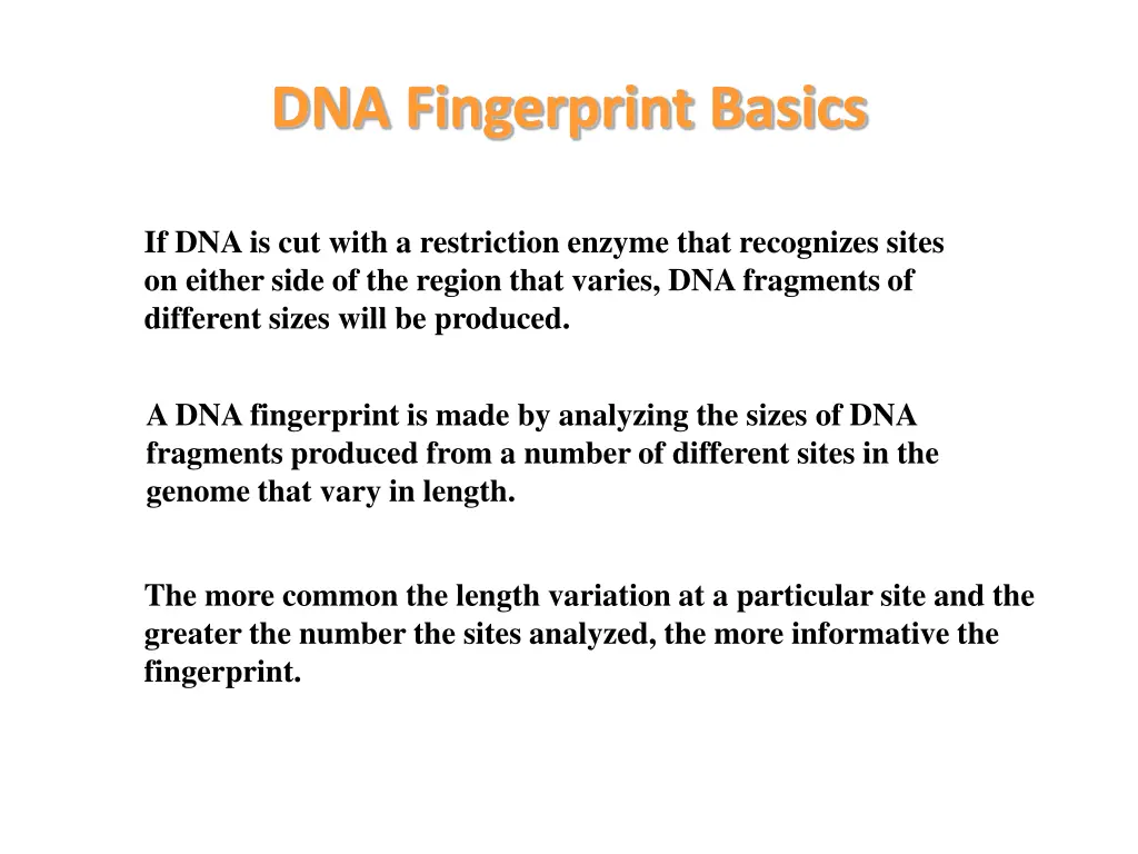 dna fingerprint basics