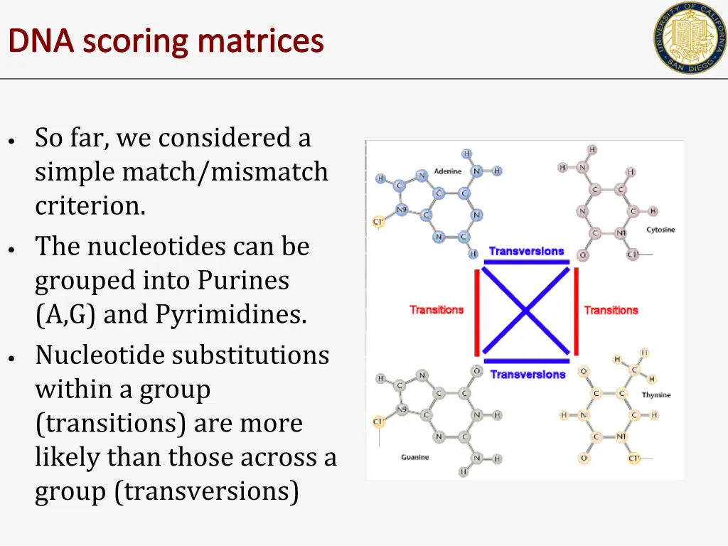 dna scoring matrices