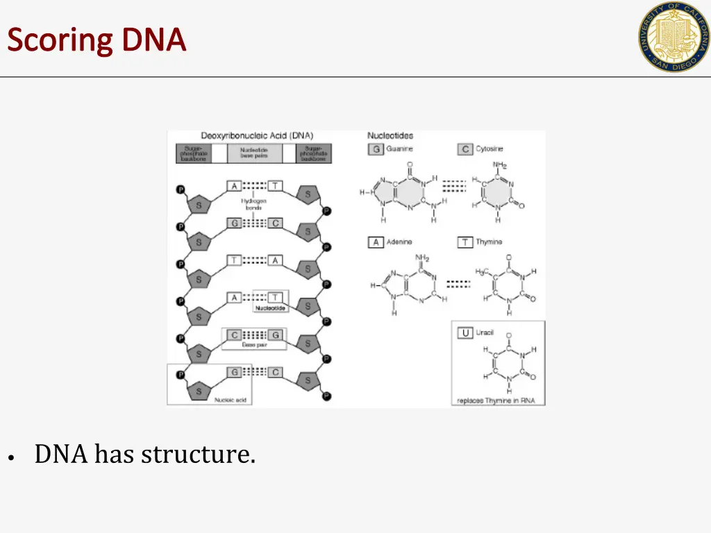 scoring dna