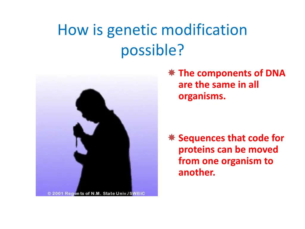 how is genetic modification possible