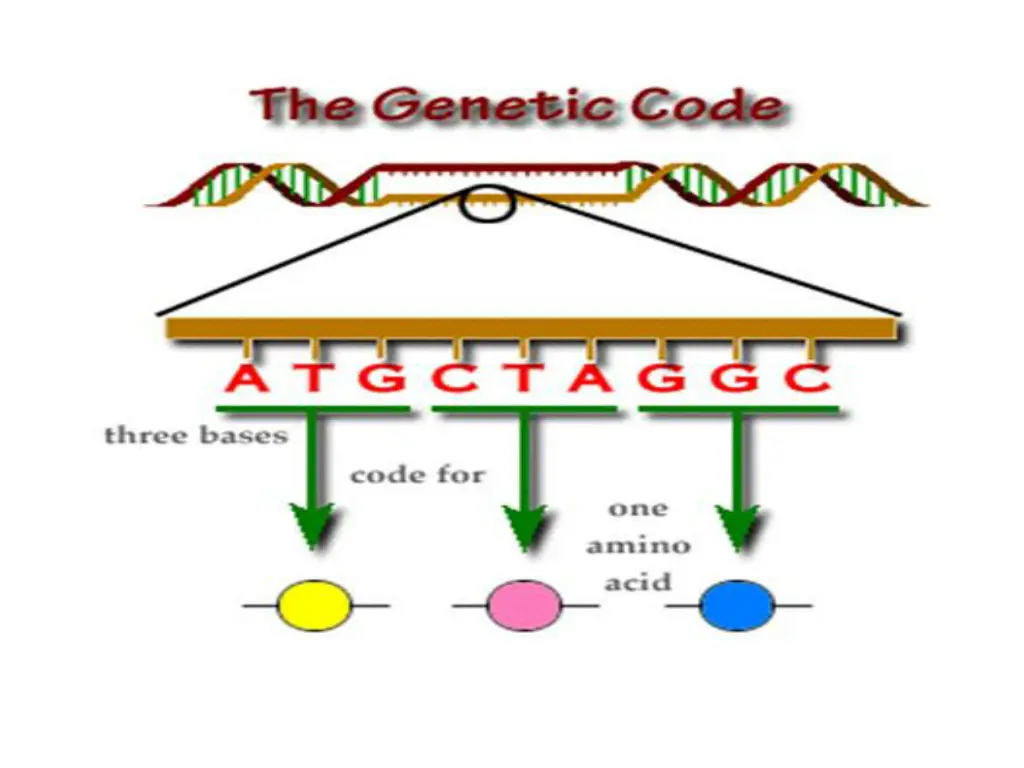 slide14