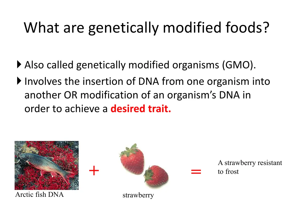 what are genetically modified foods