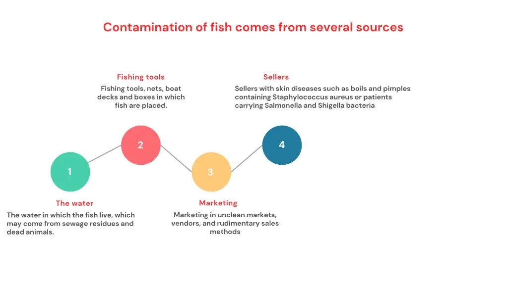contamination of fish comes from several sources