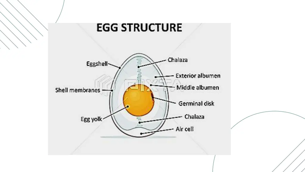 slide3