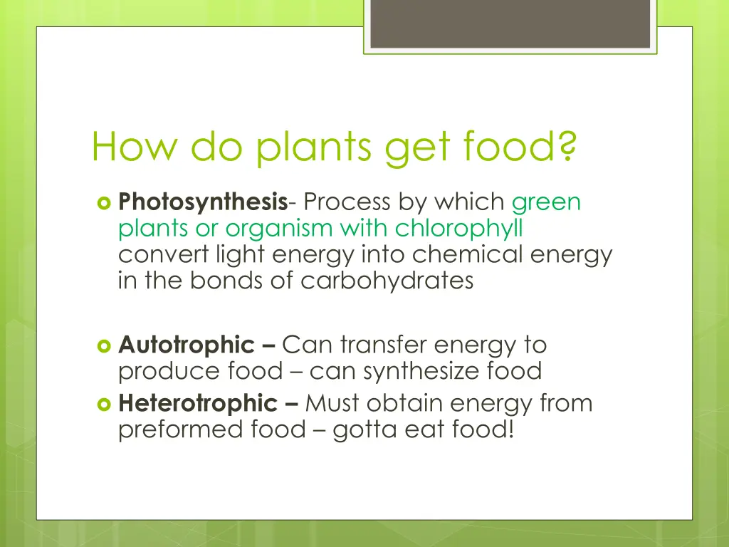 how do plants get food