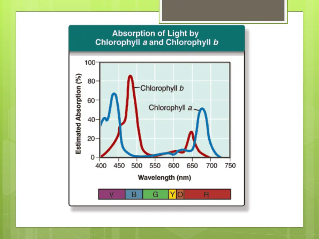 slide16