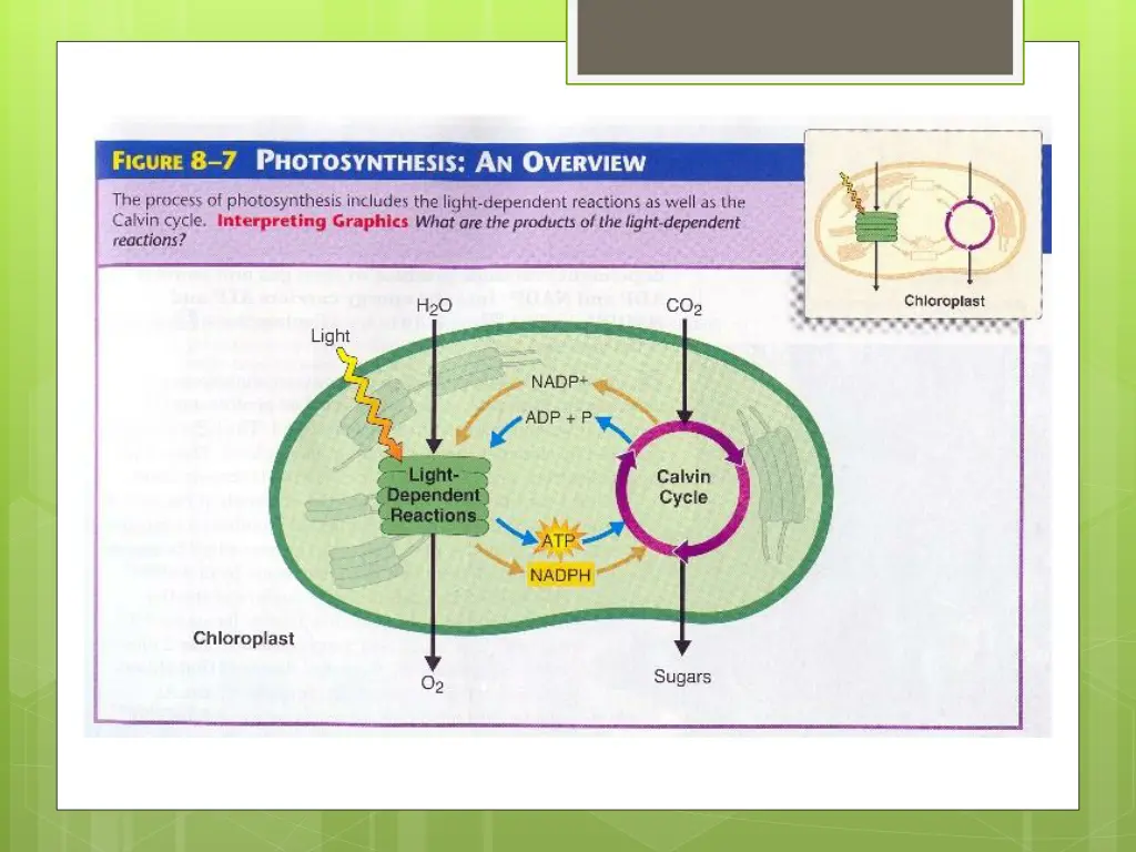 slide26