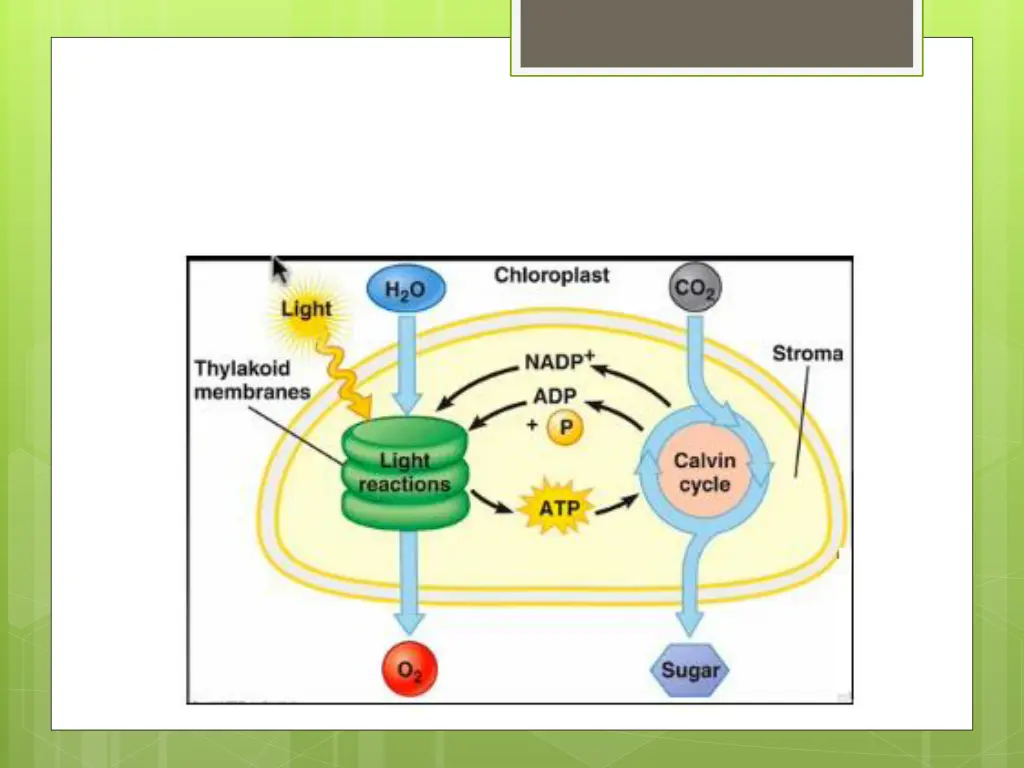 slide35