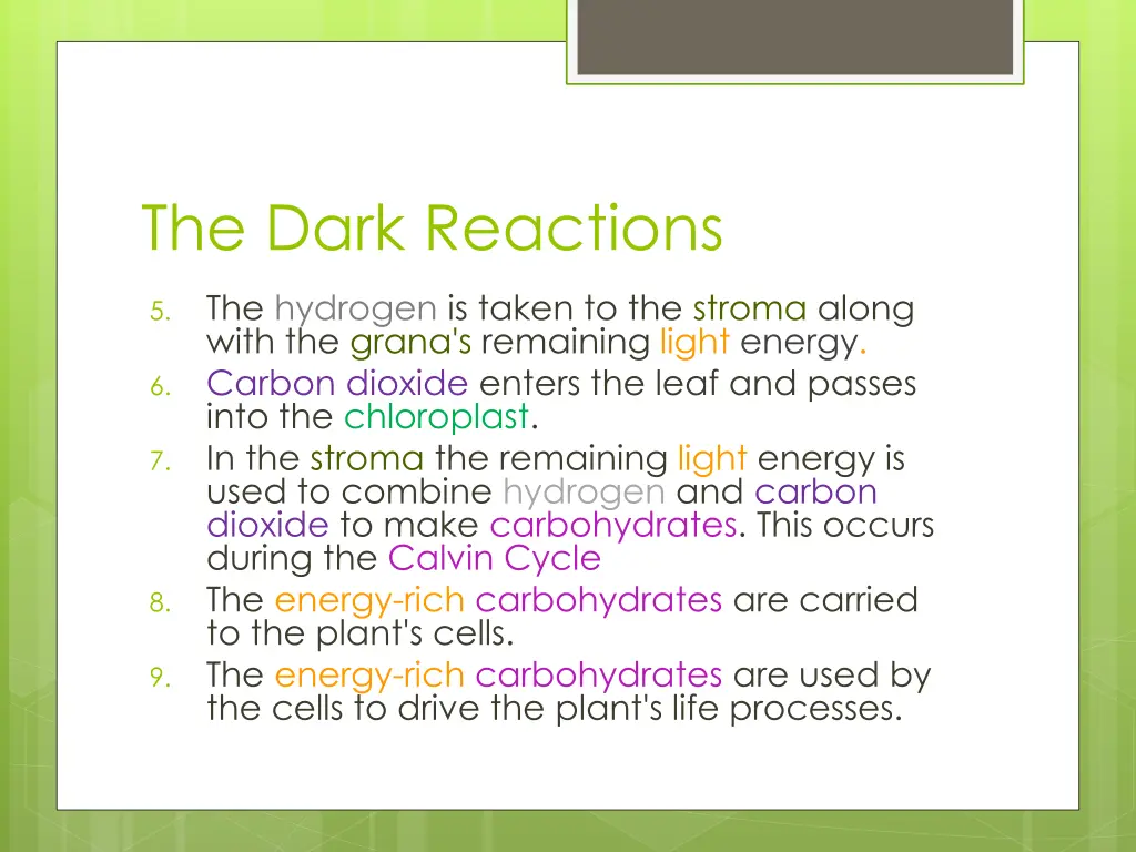 the dark reactions