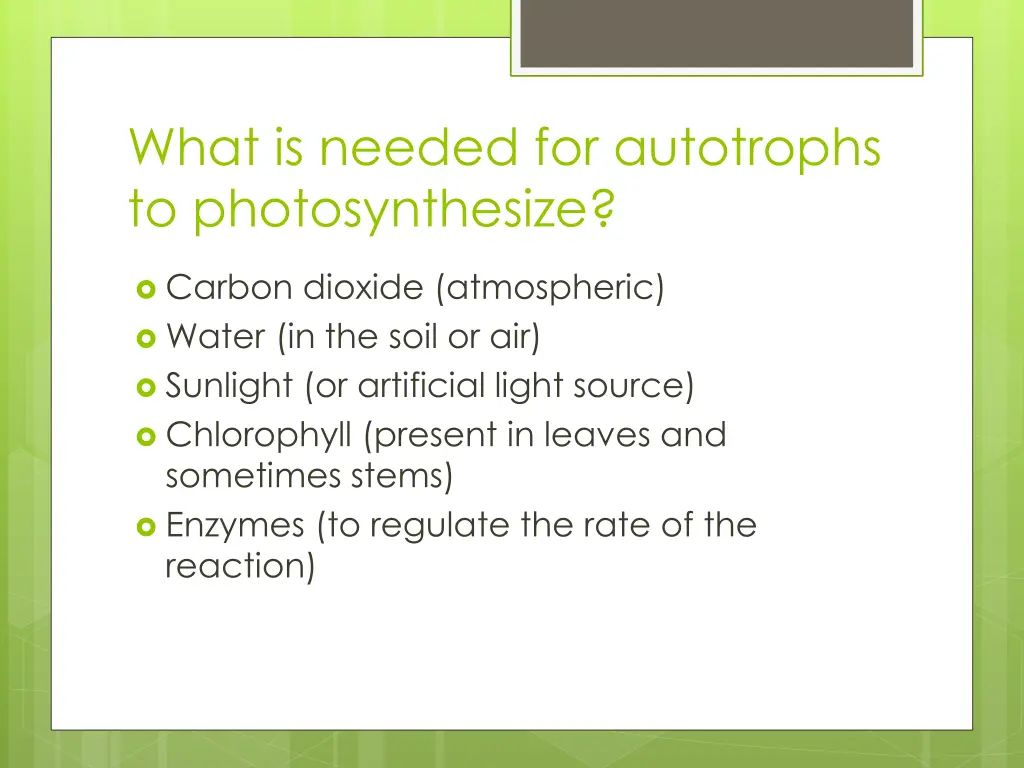 what is needed for autotrophs to photosynthesize