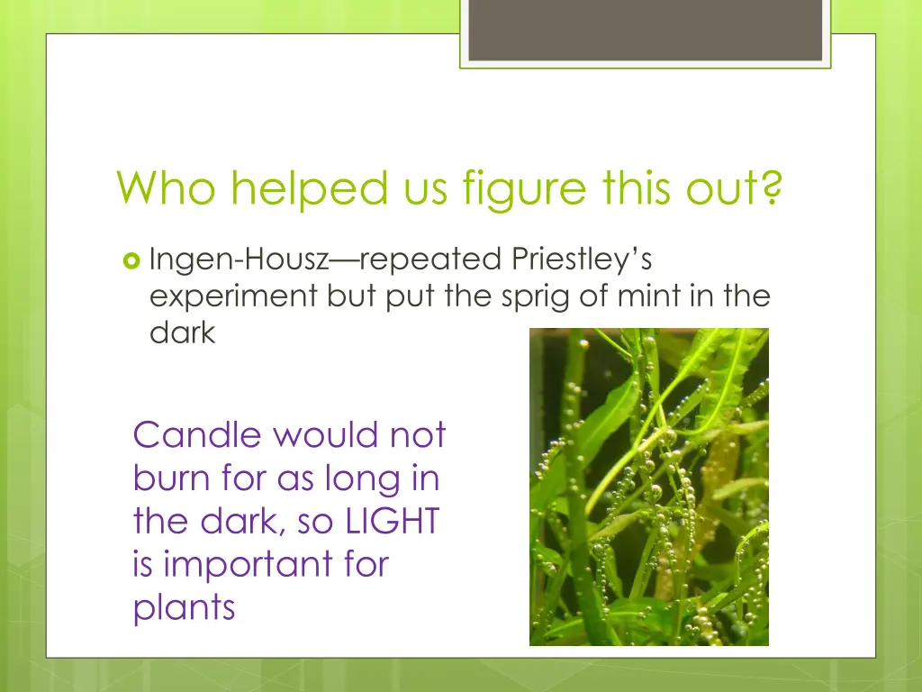 who helped us figure this out 2