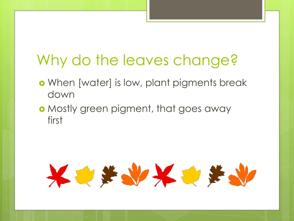 why do the leaves change