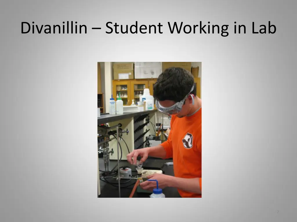 divanillin student working in lab