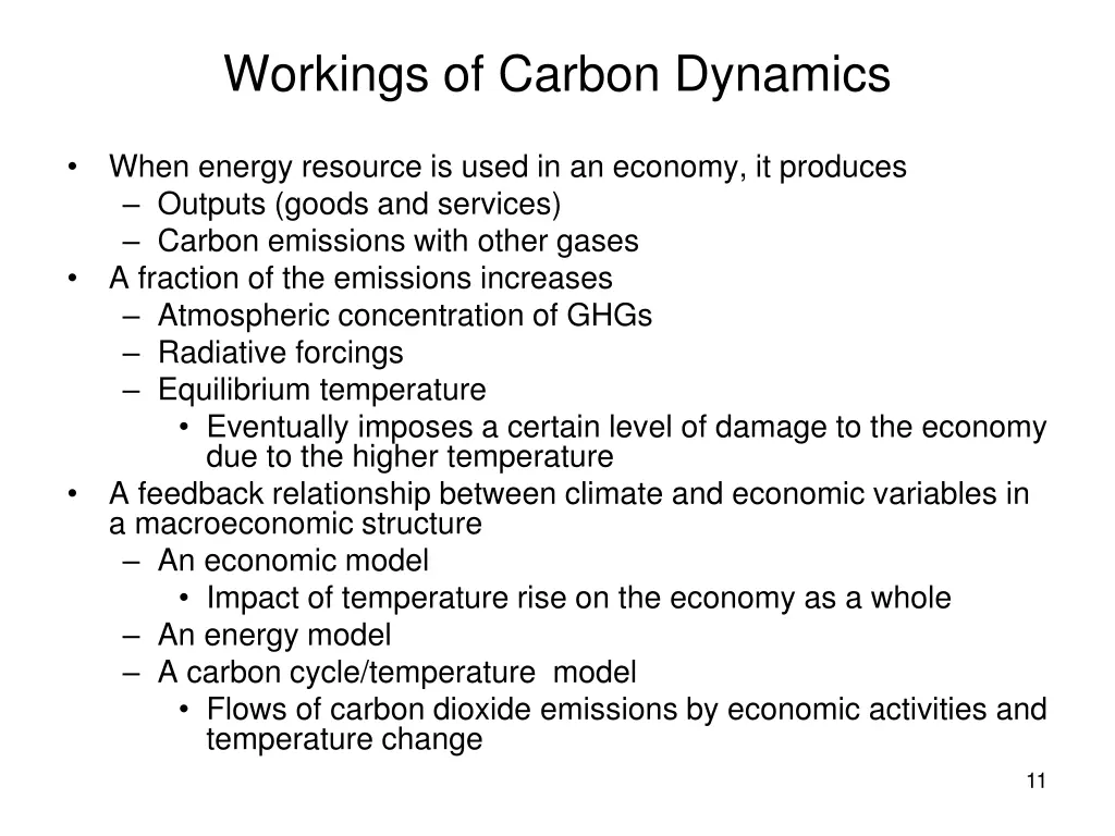 workings of carbon dynamics