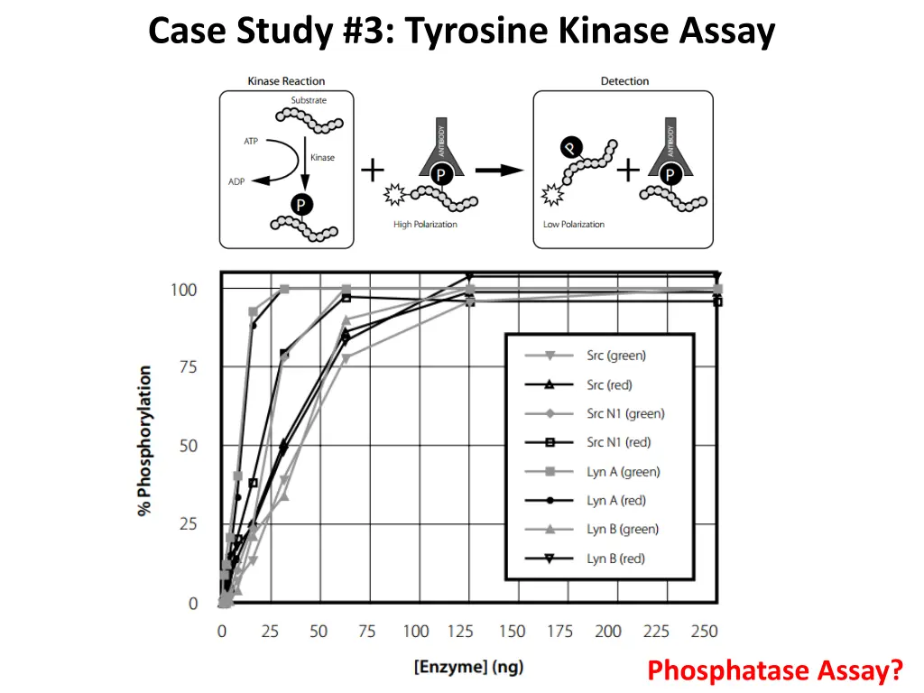 case study 3 tyrosine kinase assay