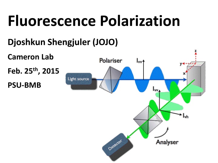 fluorescence polarization