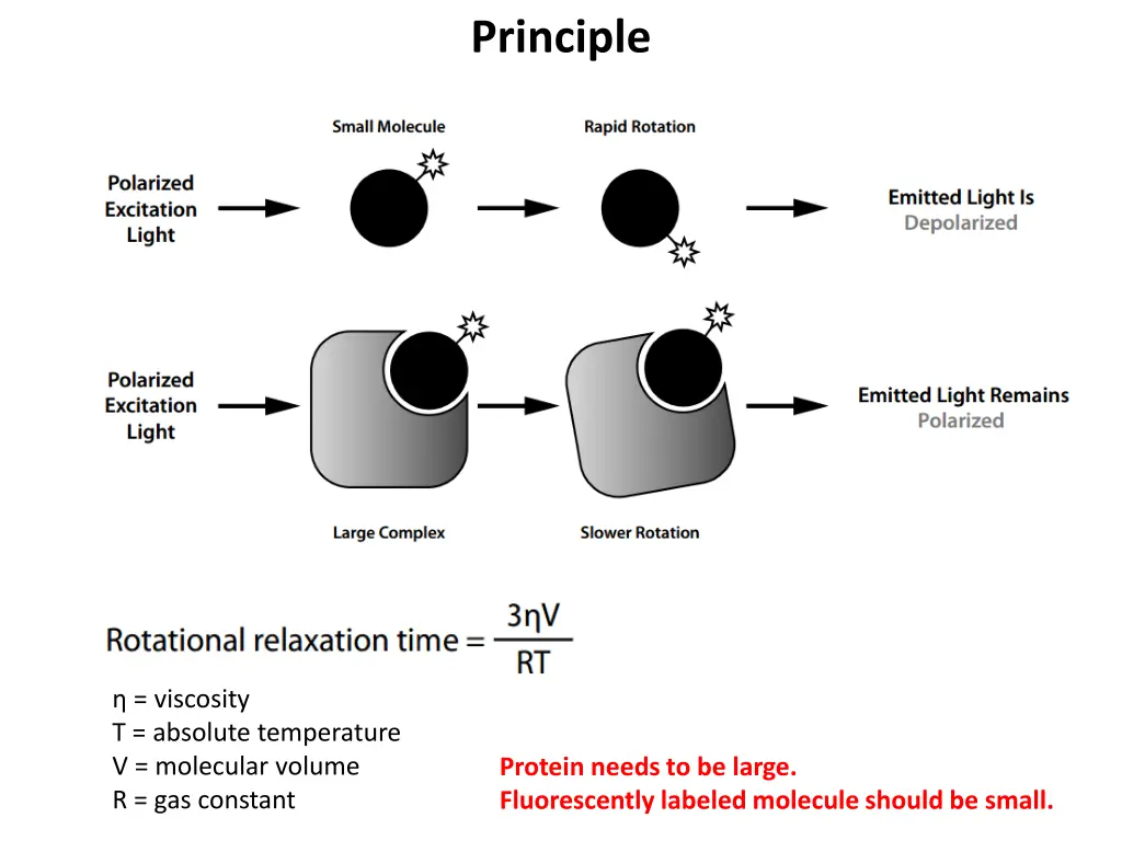 principle