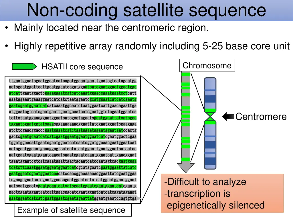 non coding satellite sequence mainly located near