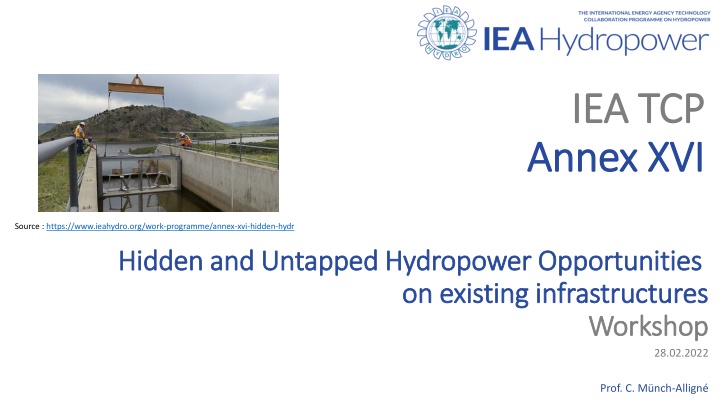 iea tcp iea tcp annex xvi annex xvi