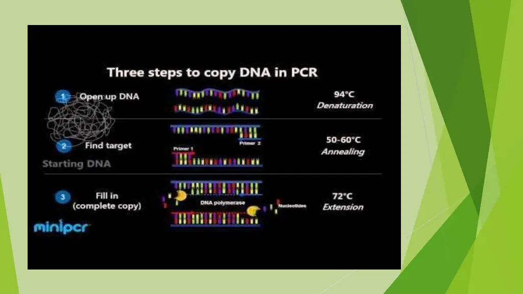 slide17