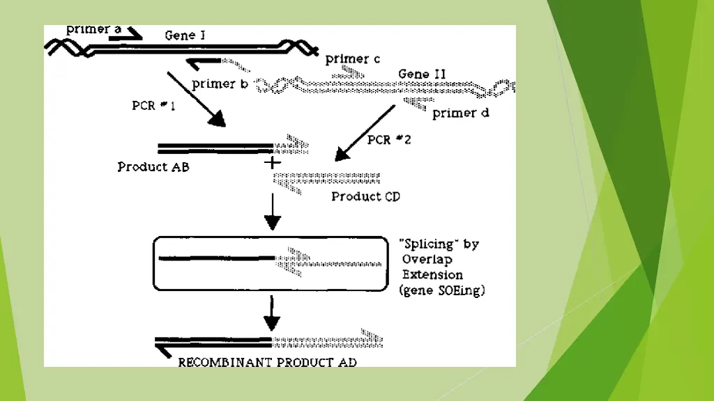 slide28